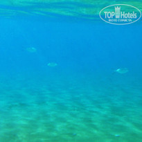 фото из отзыва ID 1120954