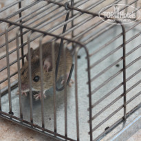 фото из отзыва ID 1120957