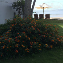 фото из отзыва ID 1121298