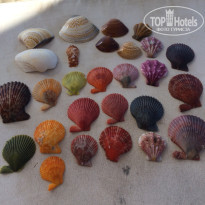 фото из отзыва ID 1121298