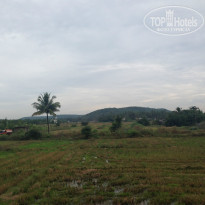 фото из отзыва ID 1121286