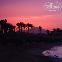 фото из отзыва ID 1121329