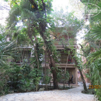 фото из отзыва ID 1121406