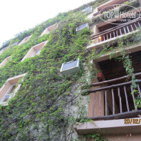 фото из отзыва ID 1121406