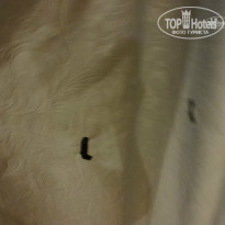 фото из отзыва ID 1121126