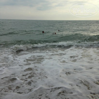 фото из отзыва ID 1121518