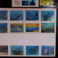 фото из отзыва ID 1121479