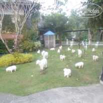 фото из отзыва ID 1121918