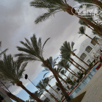 фото из отзыва ID 1122185