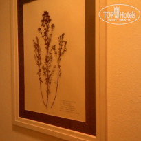 фото из отзыва ID 1122320