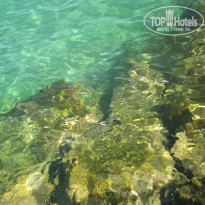 фото из отзыва ID 1122342