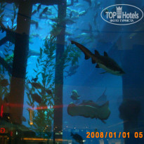 фото из отзыва ID 1122342