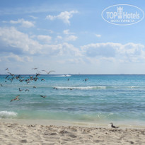 фото из отзыва ID 1121755