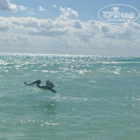 фото из отзыва ID 1121755