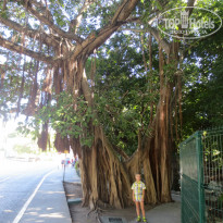 фото из отзыва ID 1121755