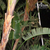 фото из отзыва ID 1122815