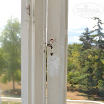 фото из отзыва ID 1123089