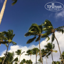 фото из отзыва ID 1123132