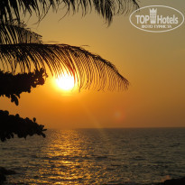 фото из отзыва ID 1123160