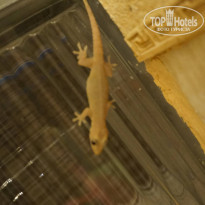 фото из отзыва ID 1123187