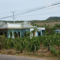 фото из отзыва ID 1123187