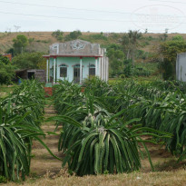 фото из отзыва ID 1123187