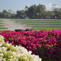 фото из отзыва ID 1123284