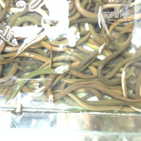 фото из отзыва ID 1123401