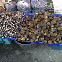 фото из отзыва ID 1123401