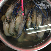 фото из отзыва ID 1123401