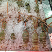 фото из отзыва ID 1123401