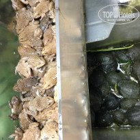 фото из отзыва ID 1123401