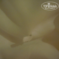 фото из отзыва ID 1123410