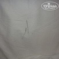 фото из отзыва ID 1123410