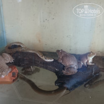 фото из отзыва ID 1123675