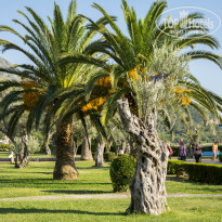 фото из отзыва ID 1123712