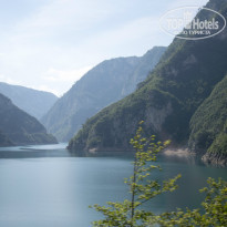 фото из отзыва ID 1123712