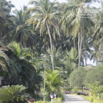 фото из отзыва ID 1123745