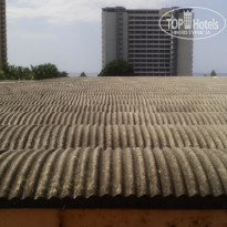 фото из отзыва ID 1124000