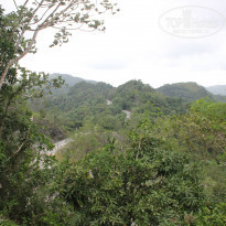 фото из отзыва ID 1123919