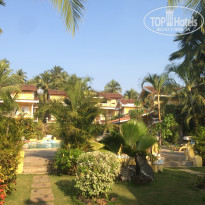 фото из отзыва ID 1124013