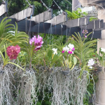 фото из отзыва ID 1124073