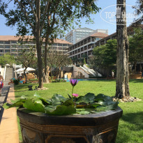 фото из отзыва ID 1121817