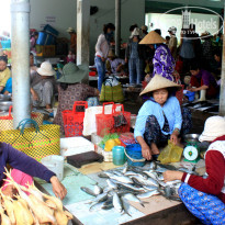 фото из отзыва ID 1124266