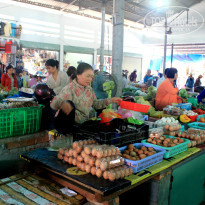 фото из отзыва ID 1124266