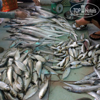 фото из отзыва ID 1124266