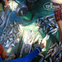 фото из отзыва ID 1124266