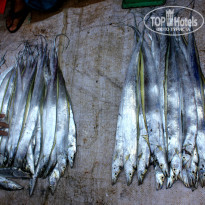 фото из отзыва ID 1124266