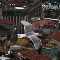 фото из отзыва ID 1124535