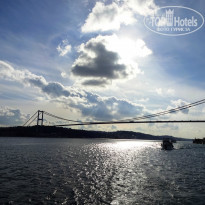 фото из отзыва ID 1124535